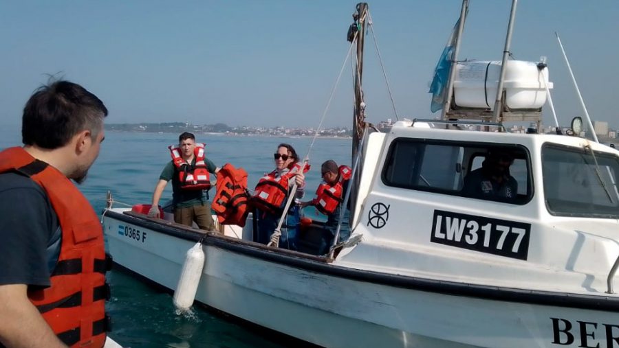 Argentina: Cómo afectan los microplásticos a los peces