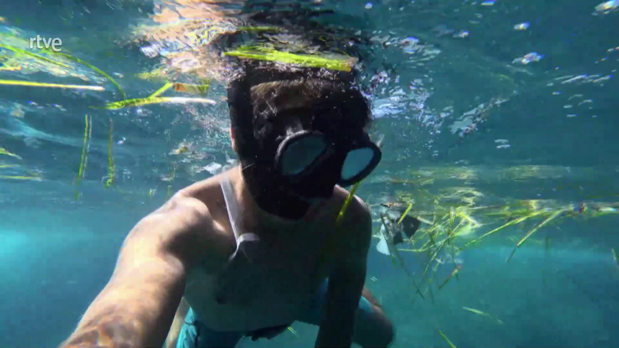 Buscando la regeneración marina a partir de residuos industriales