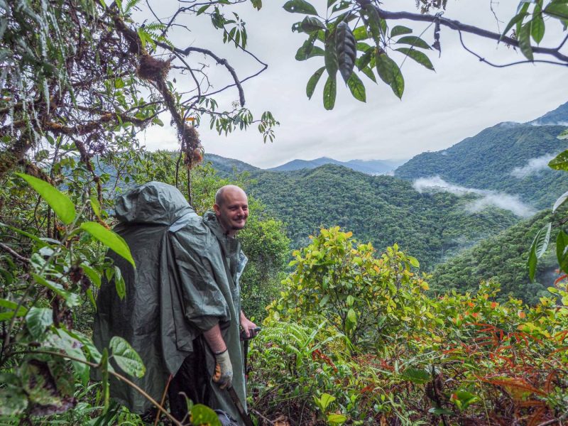 Cada año se describen cerca de 18 mil especies nuevas