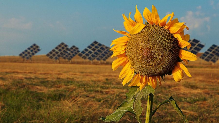 Generando energía limpia para el sector agrícola
