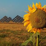 Generando energía limpia para el sector agrícola