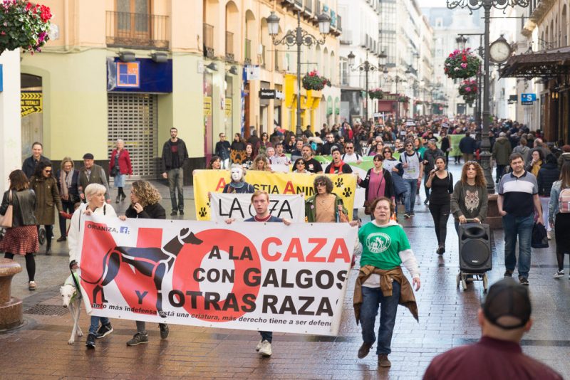 Madrid: Manifestación de la Plataforma No a la Caza