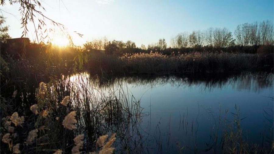 Mal estado del río Henares