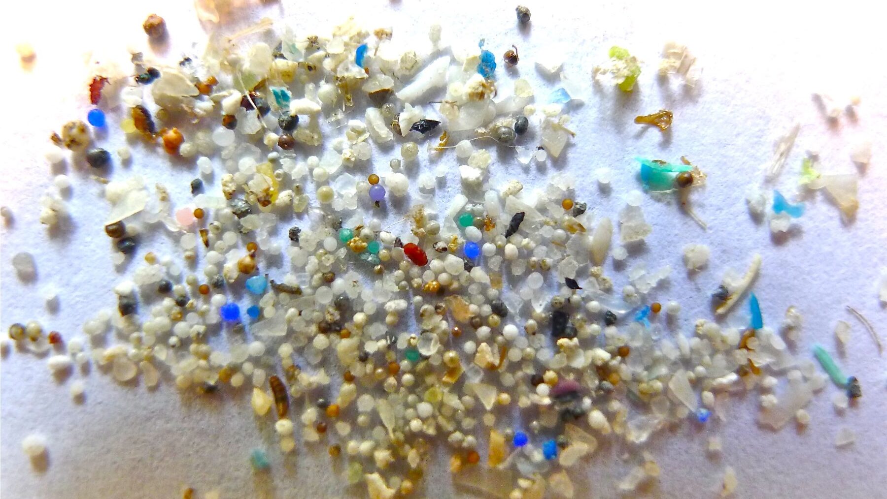 microplásticos plaga