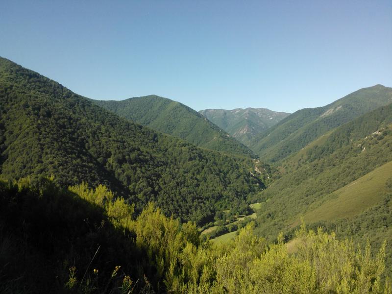 Reserva Natural Integral de Muniellos: cero protección