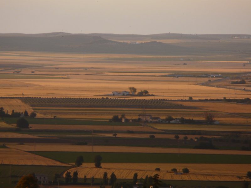 Pozos ilegales en la zona de los Llanos de Antequera