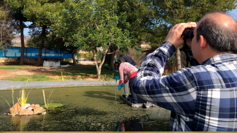 Renaturalizar las aguas residuales urbanas