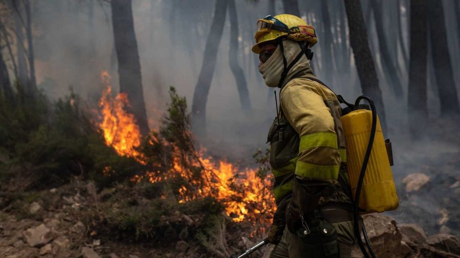 Situación laboral: Bomberos forestales y agentes medioambientales