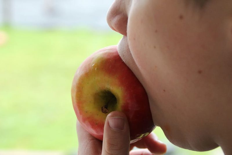 Normativa sobre Sistemas alimentarios sostenibles YA