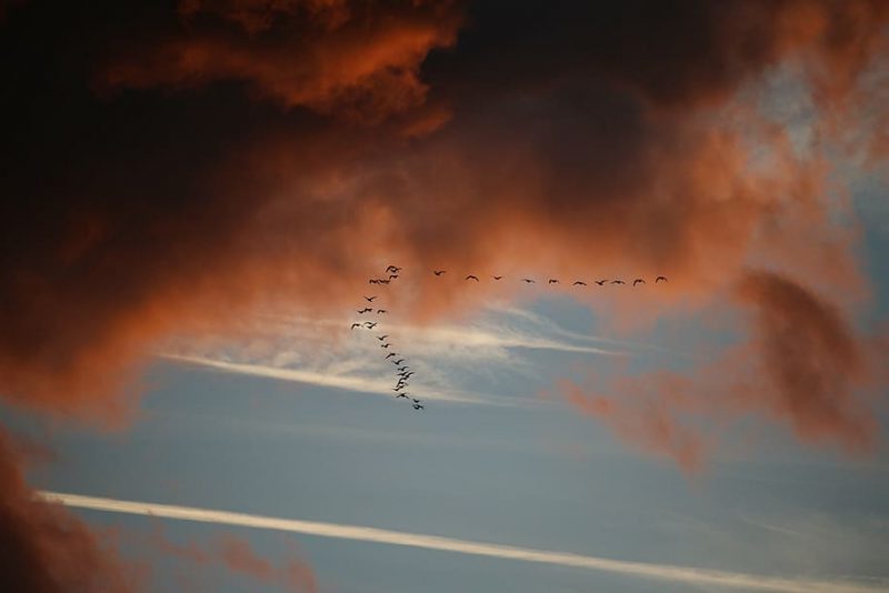 Qué es el Programa Migra