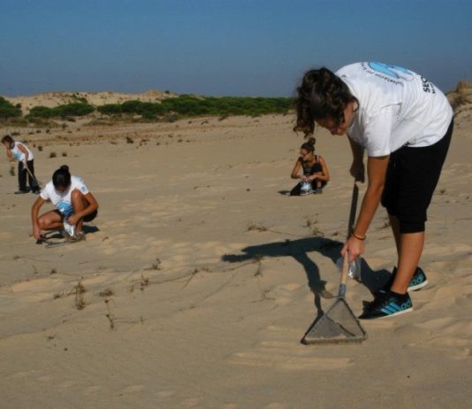 Adiós a la munición de plomo en humedales de UE