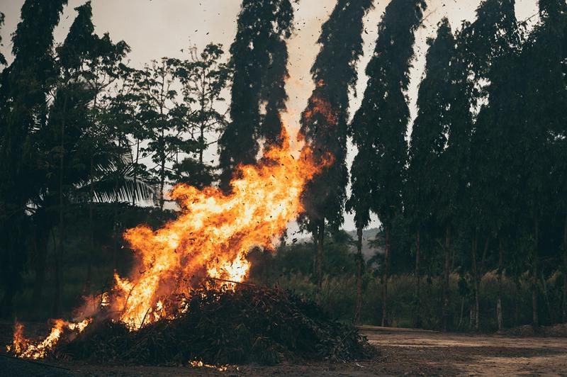 Quemar rastrojos: nefasto para el medio ambiente