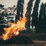 Quemar rastrojos: nefasto para el medio ambiente