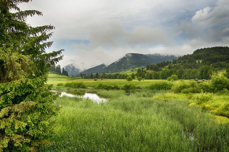 Día Mundial de los Humedales 2023