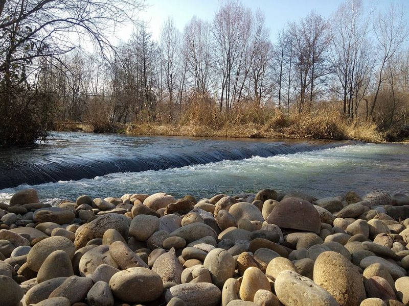 Prohibido el Glifosato en zonas públicas riojanas