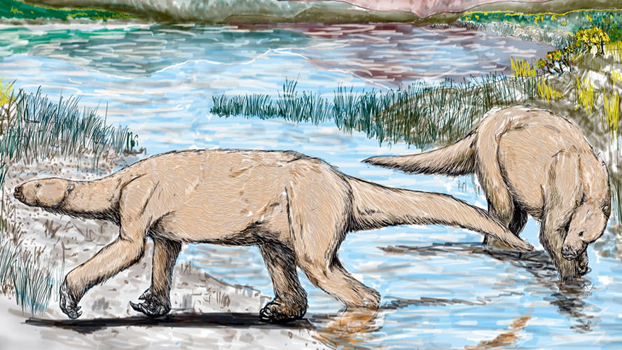 Argentina: fósiles de perezoso acuático