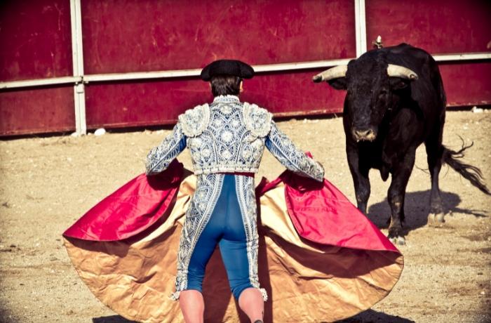 La tauromaquia NO es cultura