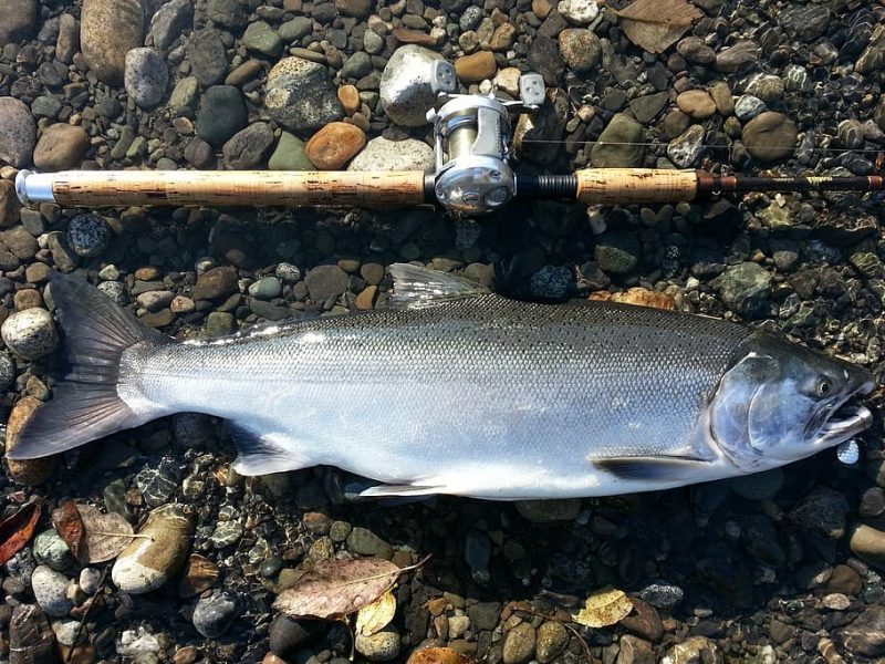 Revista Science en defensa de la Patagonia