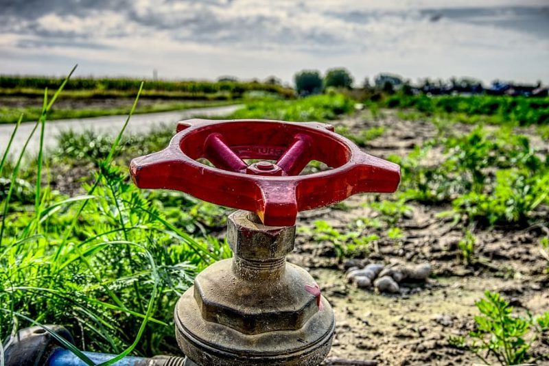 Modernizar regadíos NO es la solución