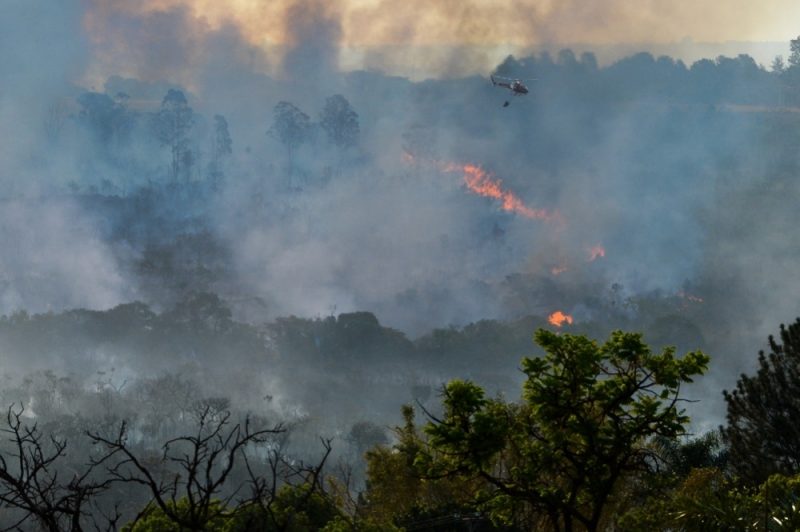 Se disparan los incendios en el estado de Amazonas