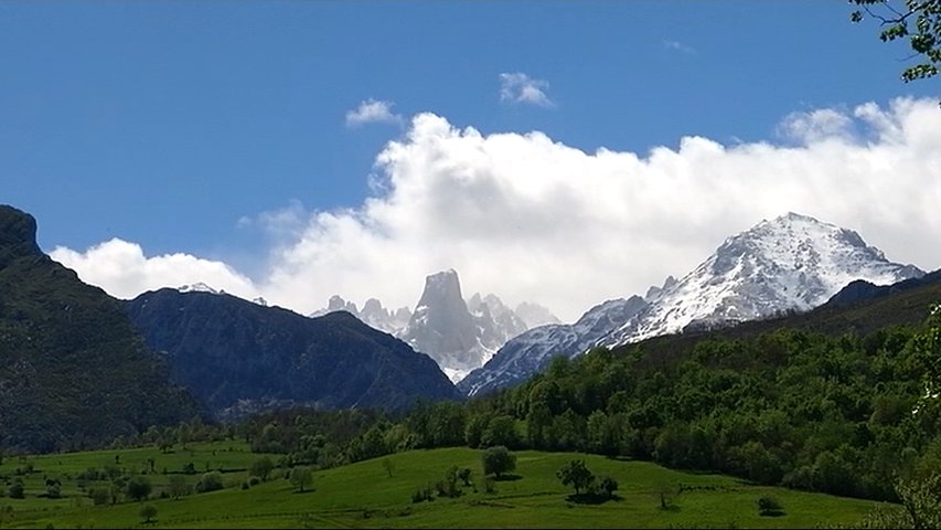 Asturias apuesta por nuevo plan forestal bajo mínimos