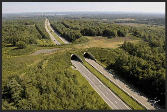 Ecoducto de Etxarri Aranatz: comienzan obras en Abril