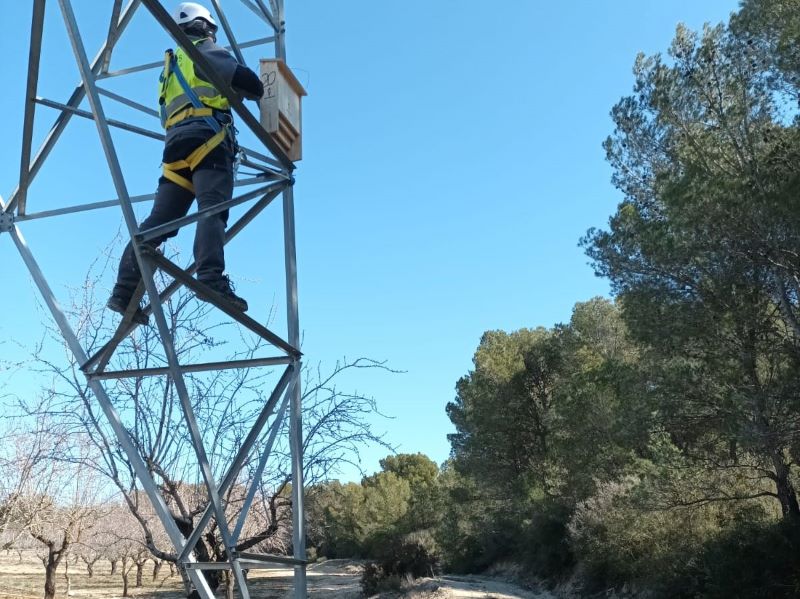 Salvando murciélagos protegemos el medio ambiente