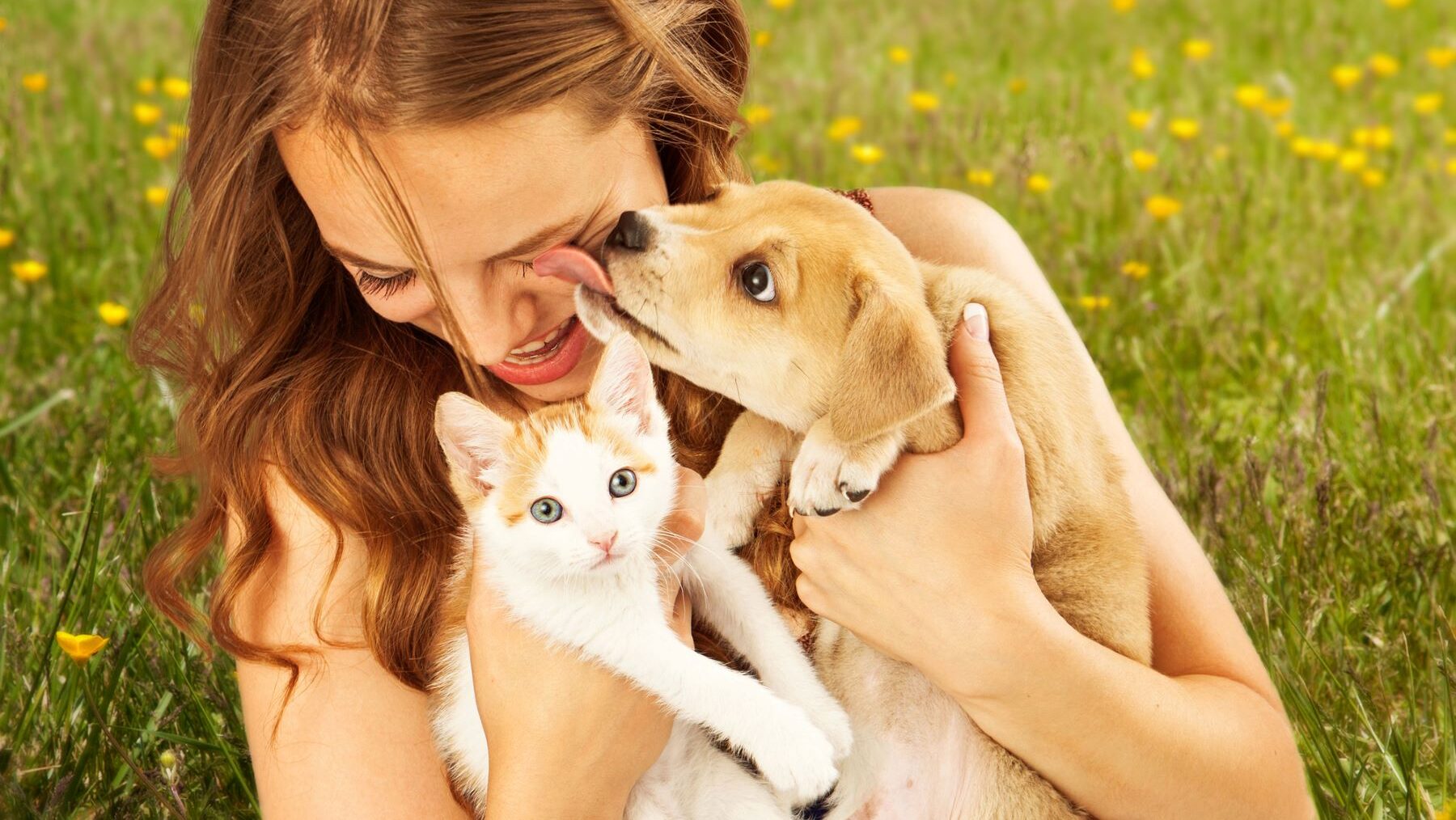 mascotas ecológicamente responsables