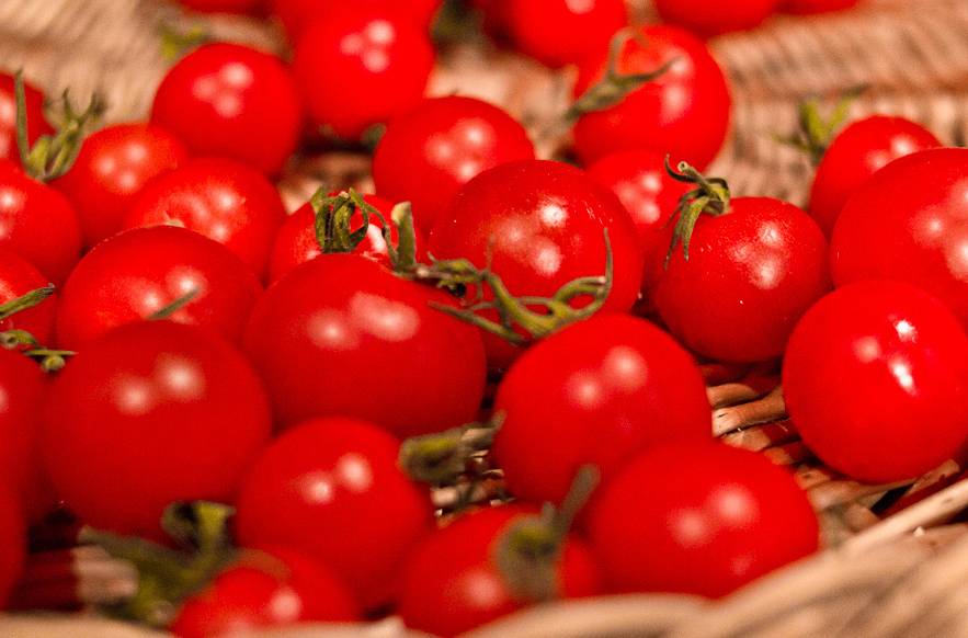 Desechos de tomate para interior latas y envases de alimentos