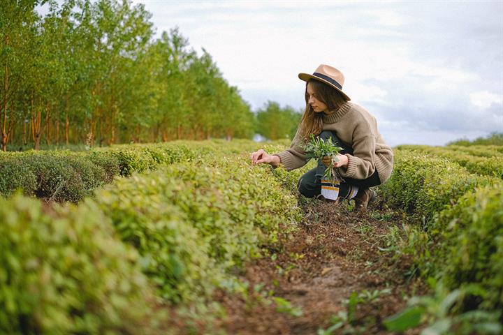 Emprendimiento rural y verde de las mujeres