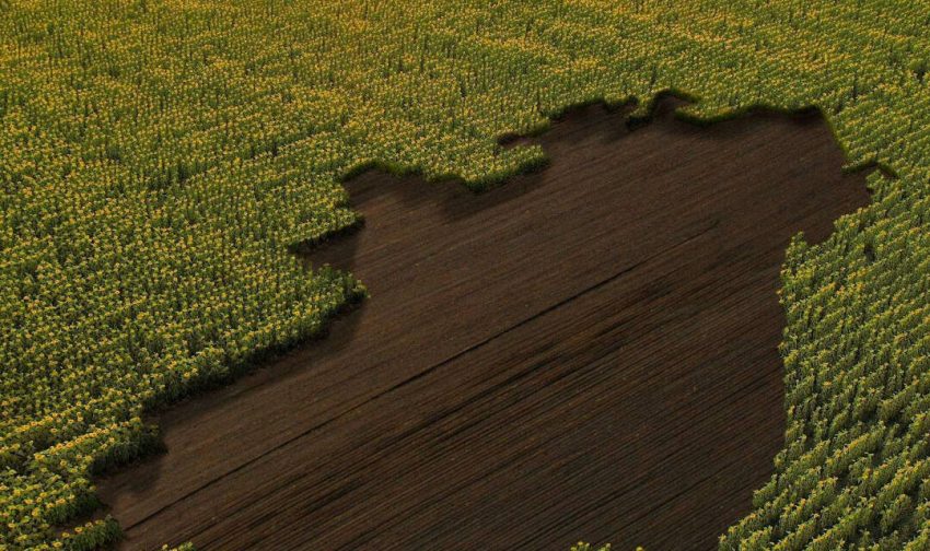 Europa: Demasiada superficie para biocombustibles