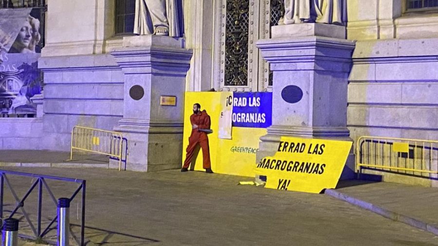 Greenpeace, macrogranjas y el Ministerio de Agricultura