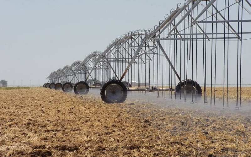 La pesadilla de los regadíos y el día mundial del agua