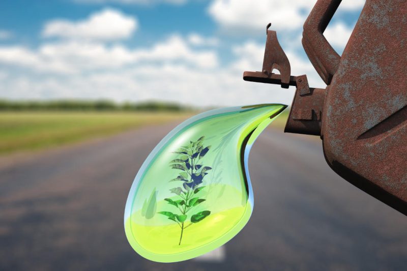 Las negociaciones sobre los biocombustibles