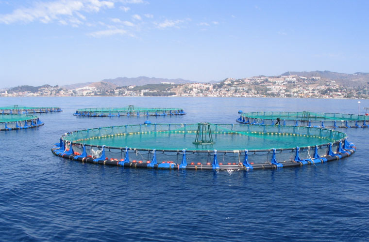 Los POEM deben ser integradores