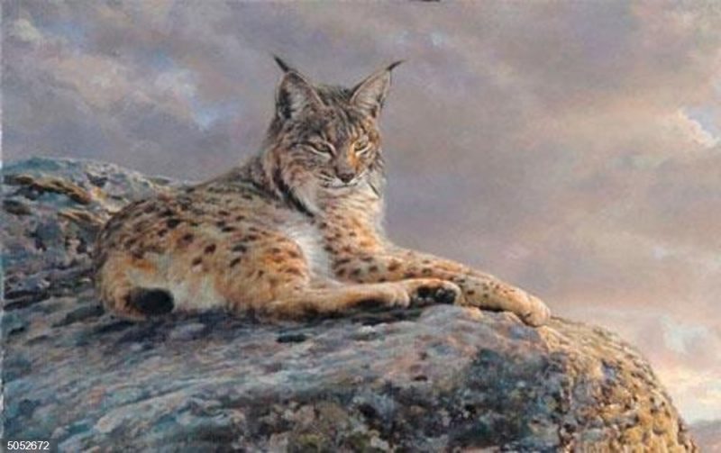 MNCN 'Retratos de campo: el arte de Manuel Sosa'