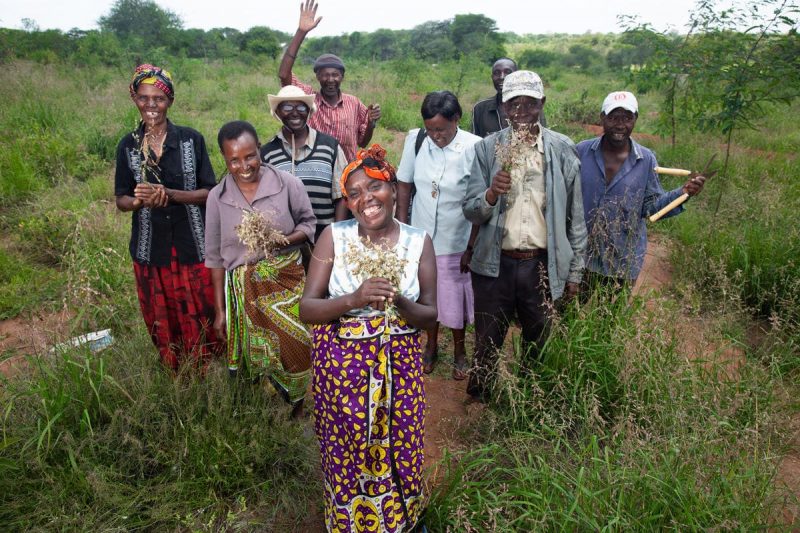 Repoblación forestal de World Vision