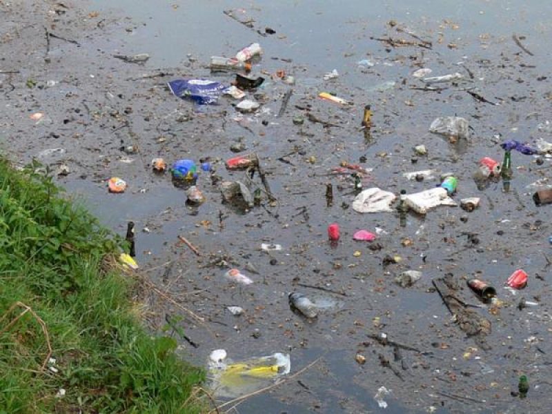 Plaguicidas en el agua