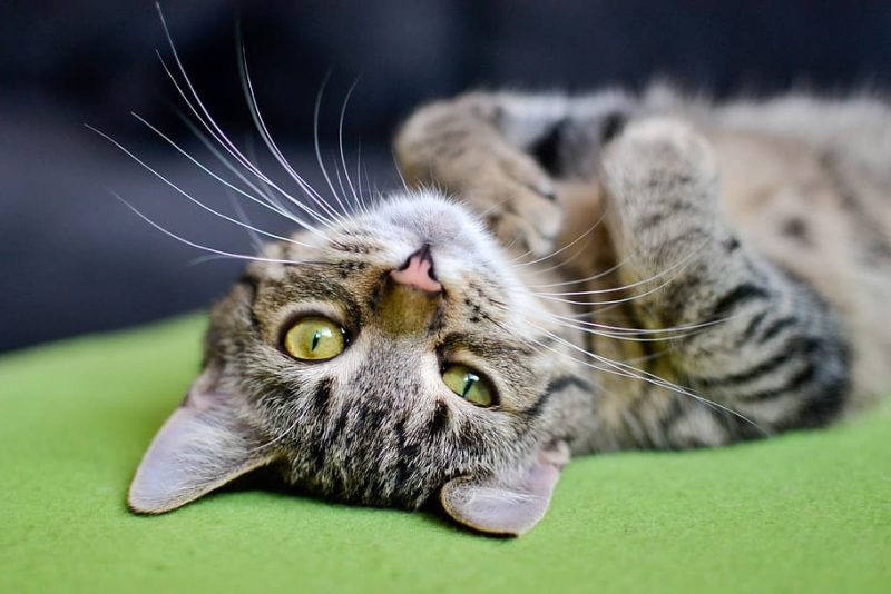 Lo del cambio de hora no es tan grave