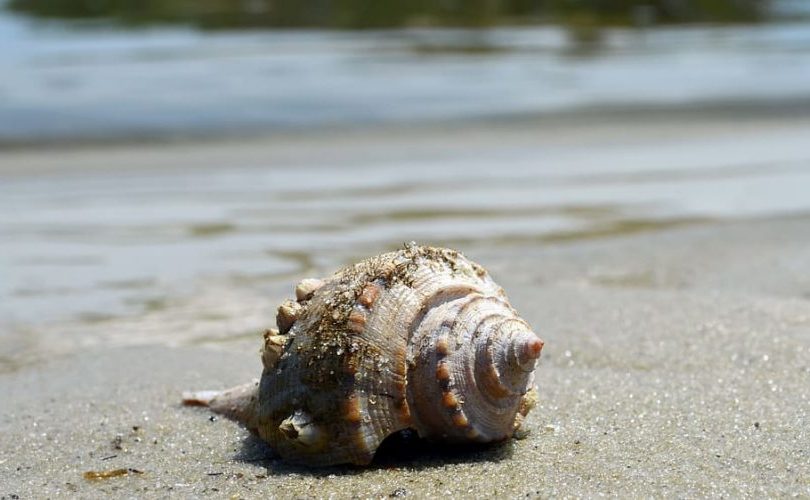 Seguridad marítima en la UE