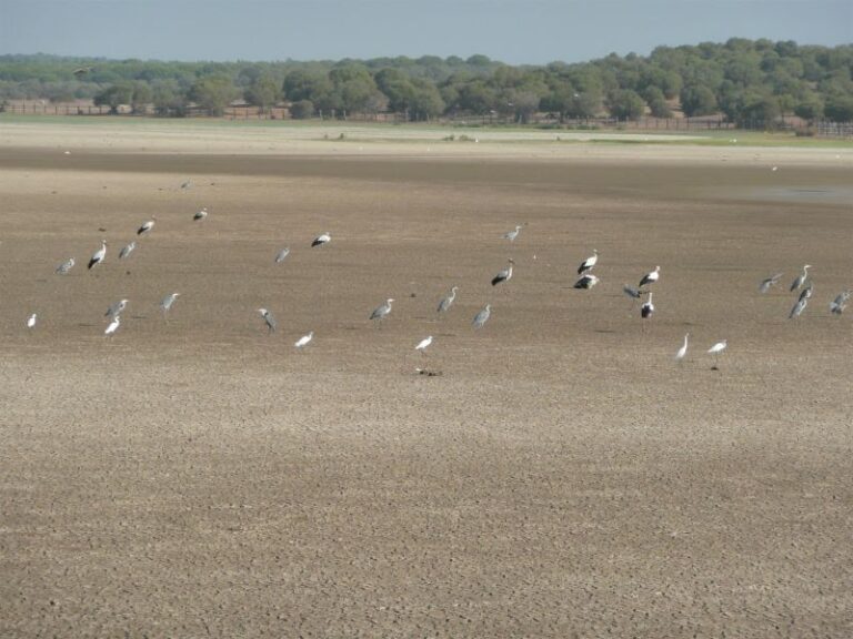 Nace Pacto País para la Adaptación al Cambio Climático