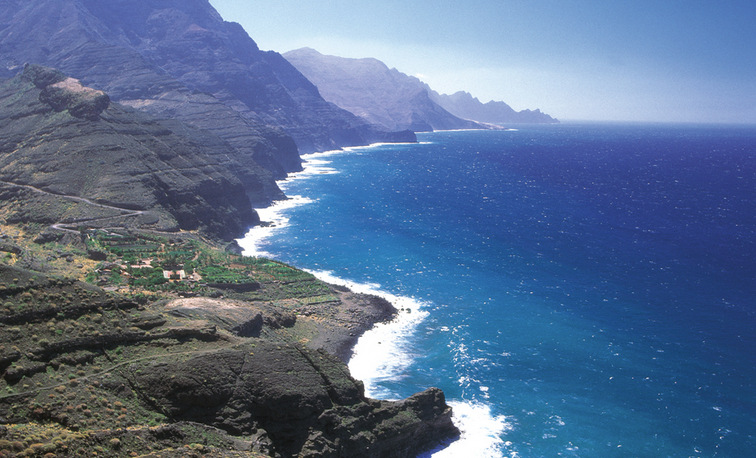 Los POEM se quedan cortos