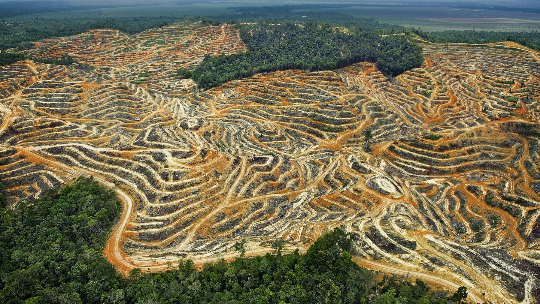 sobreexplotación de los recursos naturales