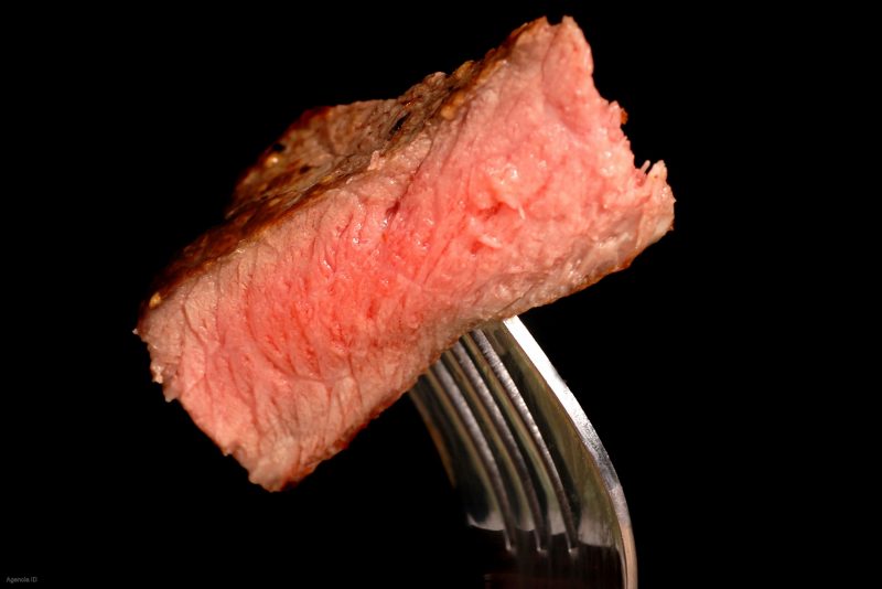 Células Madre para hacer carne