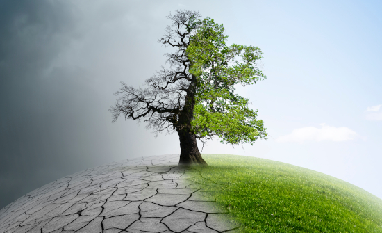 Cambio climático: Aún es posible garantizar un futuro sostenible