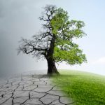 Cambio climático: Aún es posible garantizar un futuro sostenible