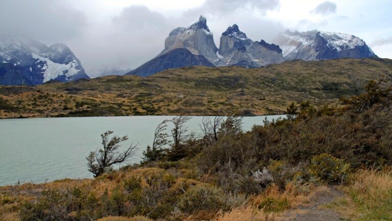especies endémicas Patagonia
