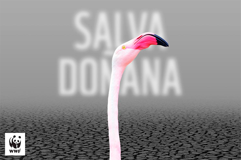 El escándalo de la ley anti Doñana a Europa