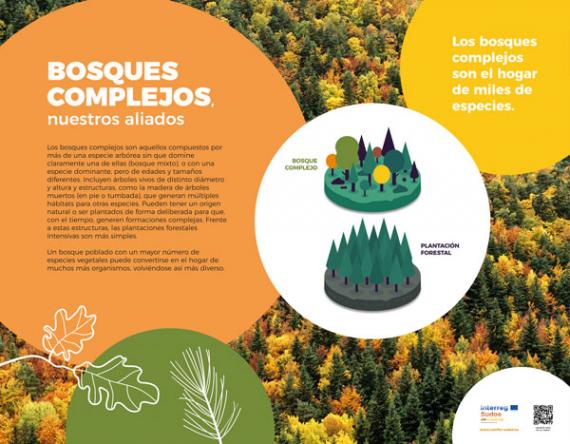 Exposición Bosques complejos, nuestros aliados
