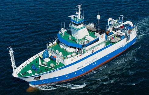 Gestión sostenible: Estudio de la sardina en Galicia y Cantábrico